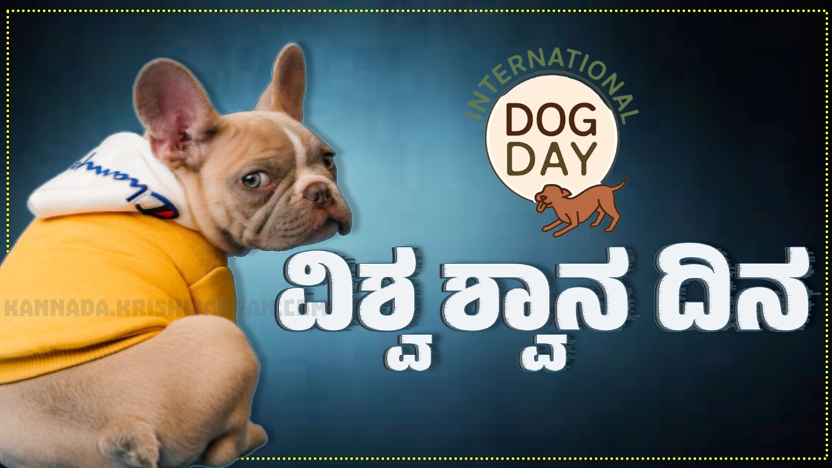ವಿಶ್ವ ಶ್ವಾನ ದಿನ: ಈ ಆಚರಣೆಯ ಮಹತ್ವ ಹಾಗೂ ಇತಿಹಾಸ ನಿಮಗೆ ಗೊತ್ತಾ