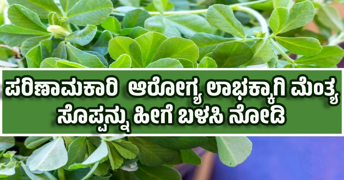 ಮೆಂತ್ಯ ಸೊಪ್ಪಿನ ಸೇವನೆಯಿಂದಾಗುವ ಬಂಪರ್‌ ಲಾಭಗಳೇನು ಗೊತ್ತಾ..? Do you know