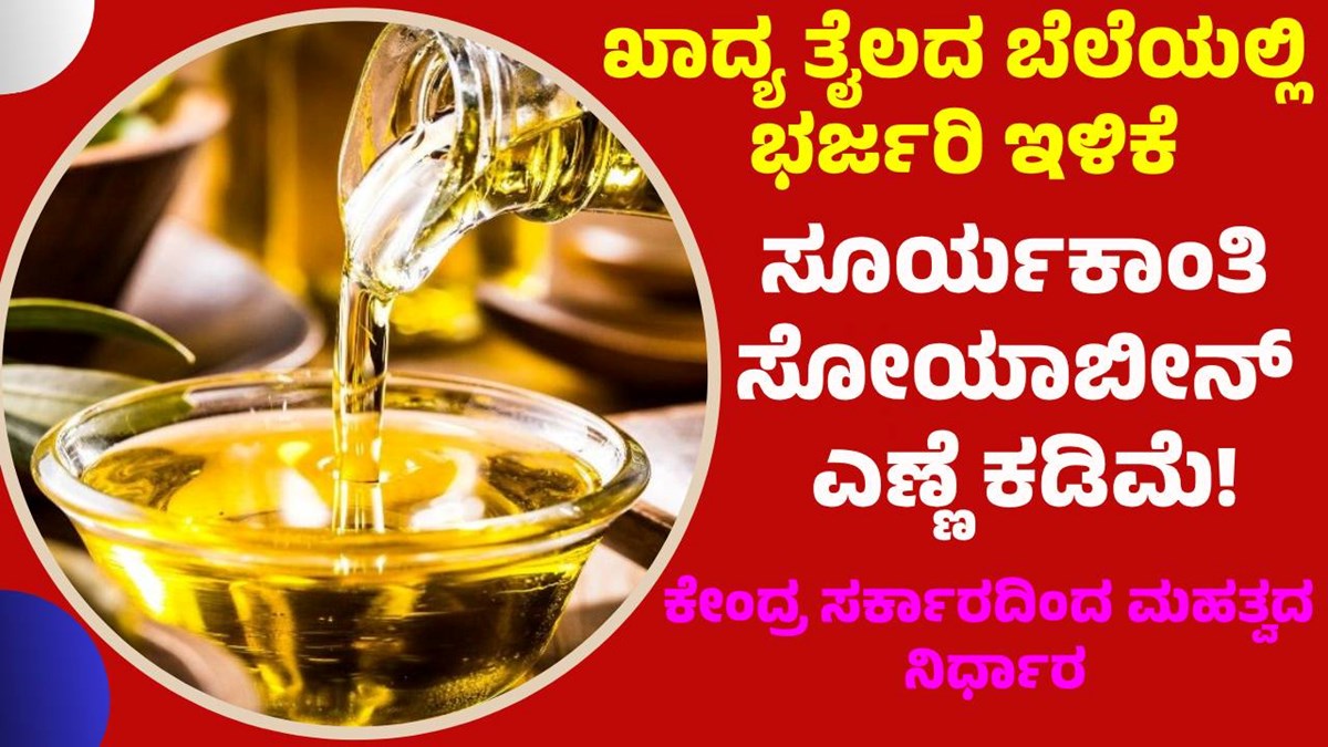 Oil ಖಾದ್ಯ ತೈಲದ ಬೆಲೆಯಲ್ಲಿ ಭರ್ಜರಿ ಇಳಿಕೆ ಸೂರ್ಯಕಾಂತಿ, ಸೋಯಾಬೀನ್ ಎಣ್ಣೆ ಬೆಲೆ