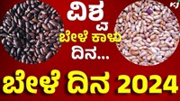 list of pulses ವಿಶ್ವ ಬೇಳೆಕಾಳು ದಿನ -2024, ಏನಿದರ ವಿಶೇಷ ? 