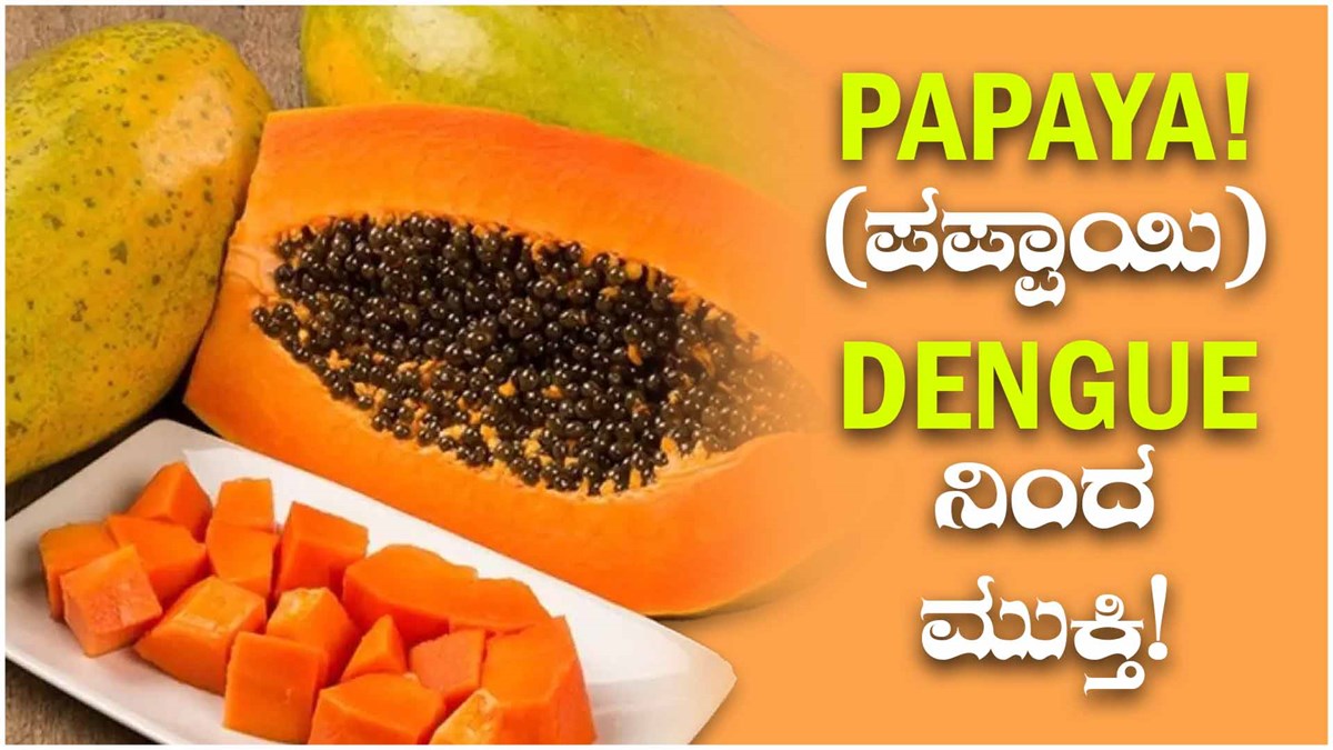 Papaya! (ಪಪ್ಪಾಯಿ) Dengue ನಿಂದ ಮುಕ್ತಿ! Papaya is a treatment for